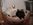 DSC00579.JPG